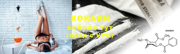 тгк Инсар
