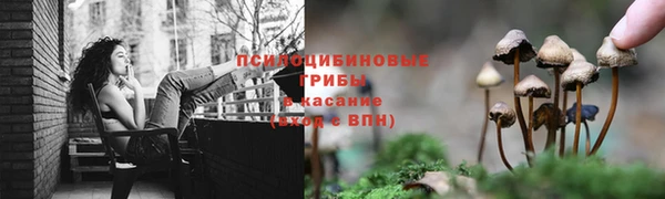 прущие крисы Иннополис