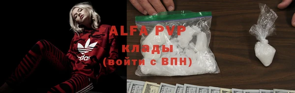 тгк Инсар