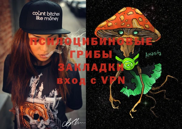 тгк Инсар