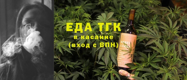 тгк Инсар
