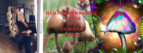 прущие крисы Иннополис