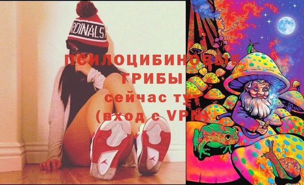 тгк Инсар