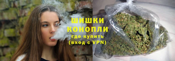 тгк Инсар