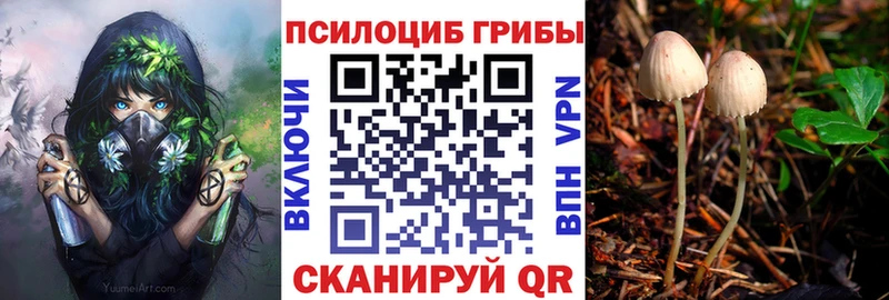 Псилоцибиновые грибы Psilocybe  Купить  Дегтярск 